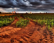 土壤養(yǎng)分分析儀對(duì)土壤有什么作用？